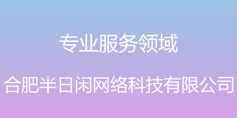 专业服务领域 - 合肥半日闲网络科技有限公司